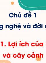 Chủ đề 1 - Bài 1 Lợi ích của hoa và cây cảnh
